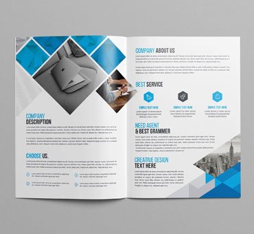 Bifold Brochures